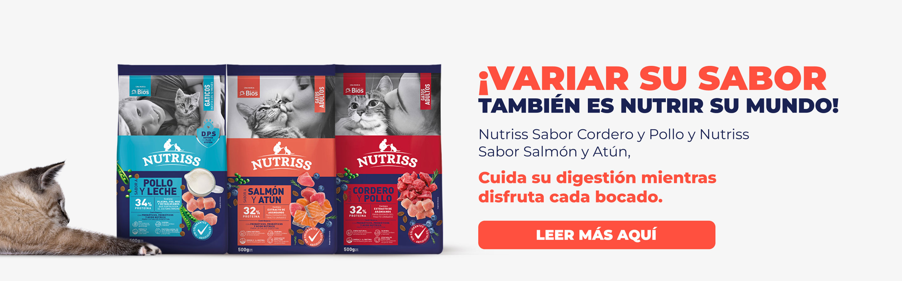 Banner: NG Home Julio Sabores Cat